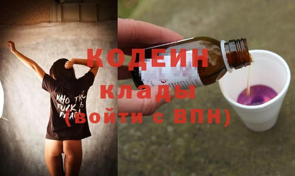 гашик Осташков