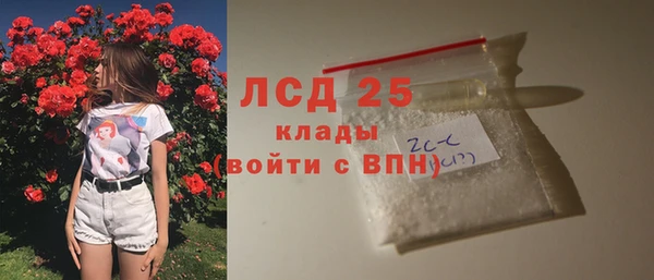 гашик Осташков