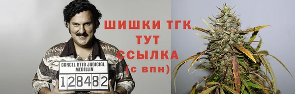 твердый Осинники