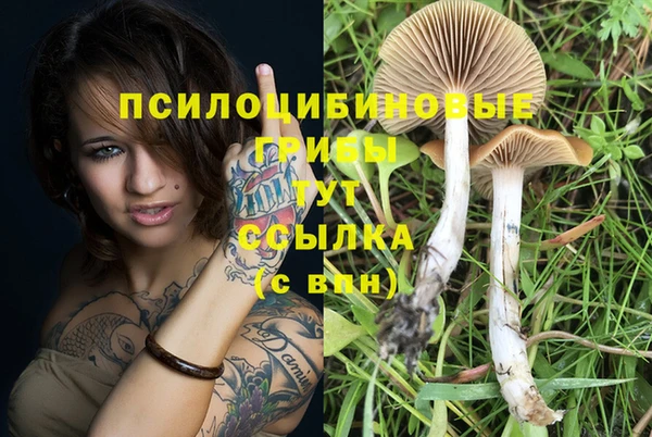 винт Алексин