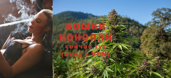 твердый Осинники