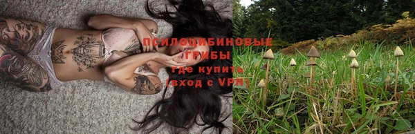 гашик Осташков