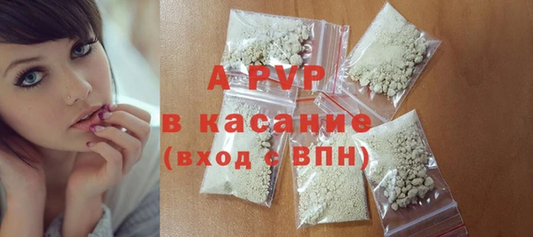 твердый Осинники