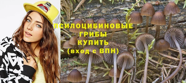 винт Алексин