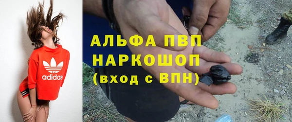 винт Алексин