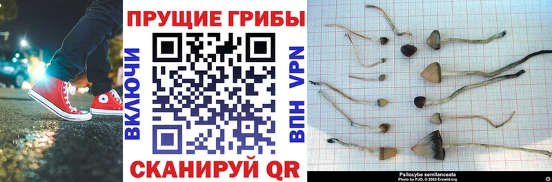 Псилоцибиновые грибы прущие грибы  маркетплейс клад  Лиски 