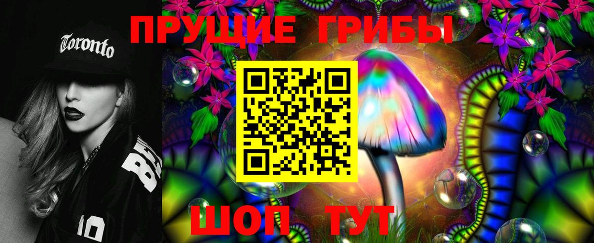 Галлюциногенные грибы Cubensis  Галлюциногенные грибы прущие грибы  Лиски  Вход с VPN 